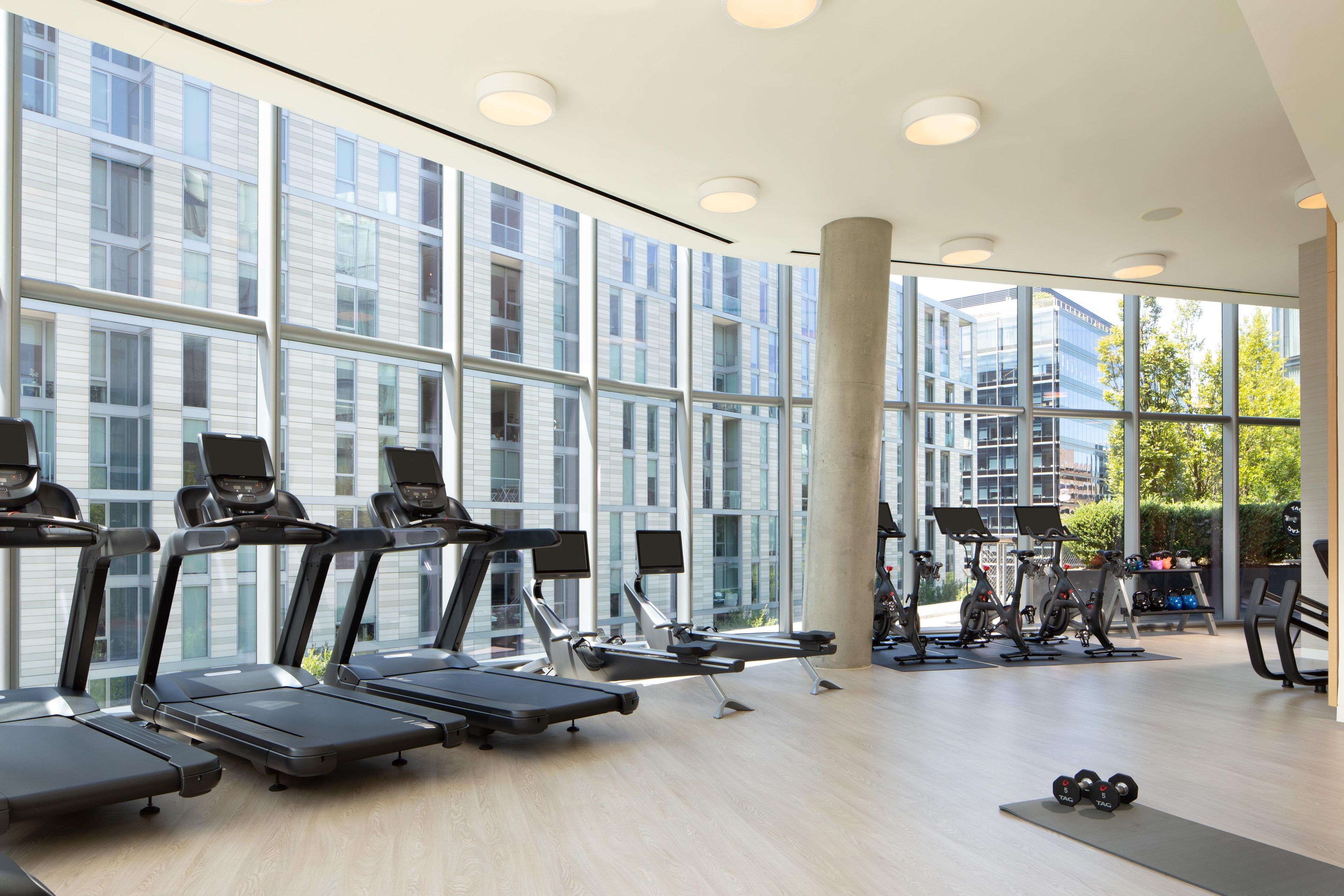 A modern gym with treadmills, stationary bikes, and weights.