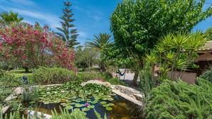 Um jardim com lago, diversas plantas e um caminho.