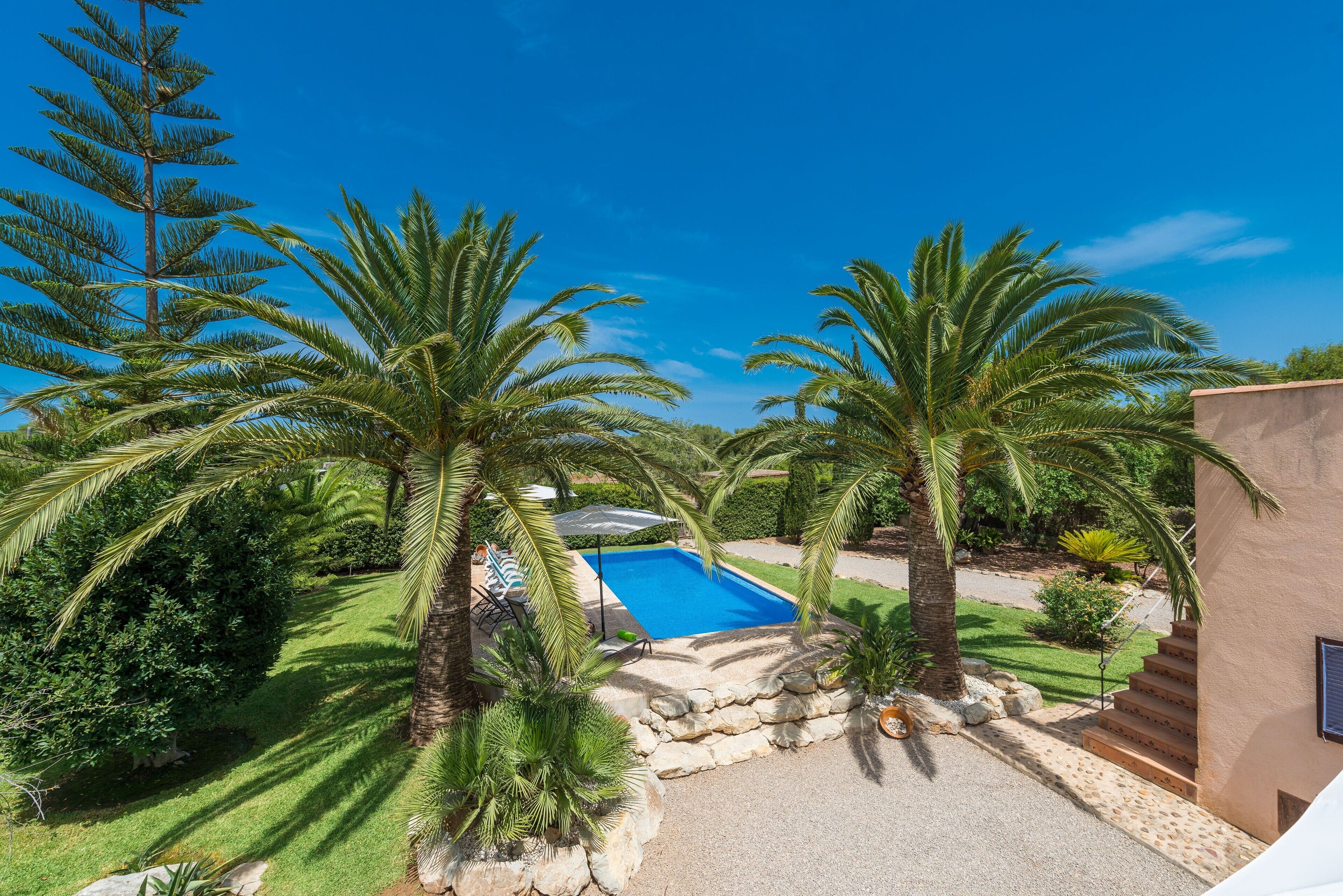 A pool surrounded by palm trees and a stone wall, with a clear blue sky above.