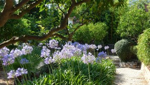 Un jardin avec un chemin de gravier, un feuillage verdoyant et luxuriant, et des bouquets de fleurs violettes.