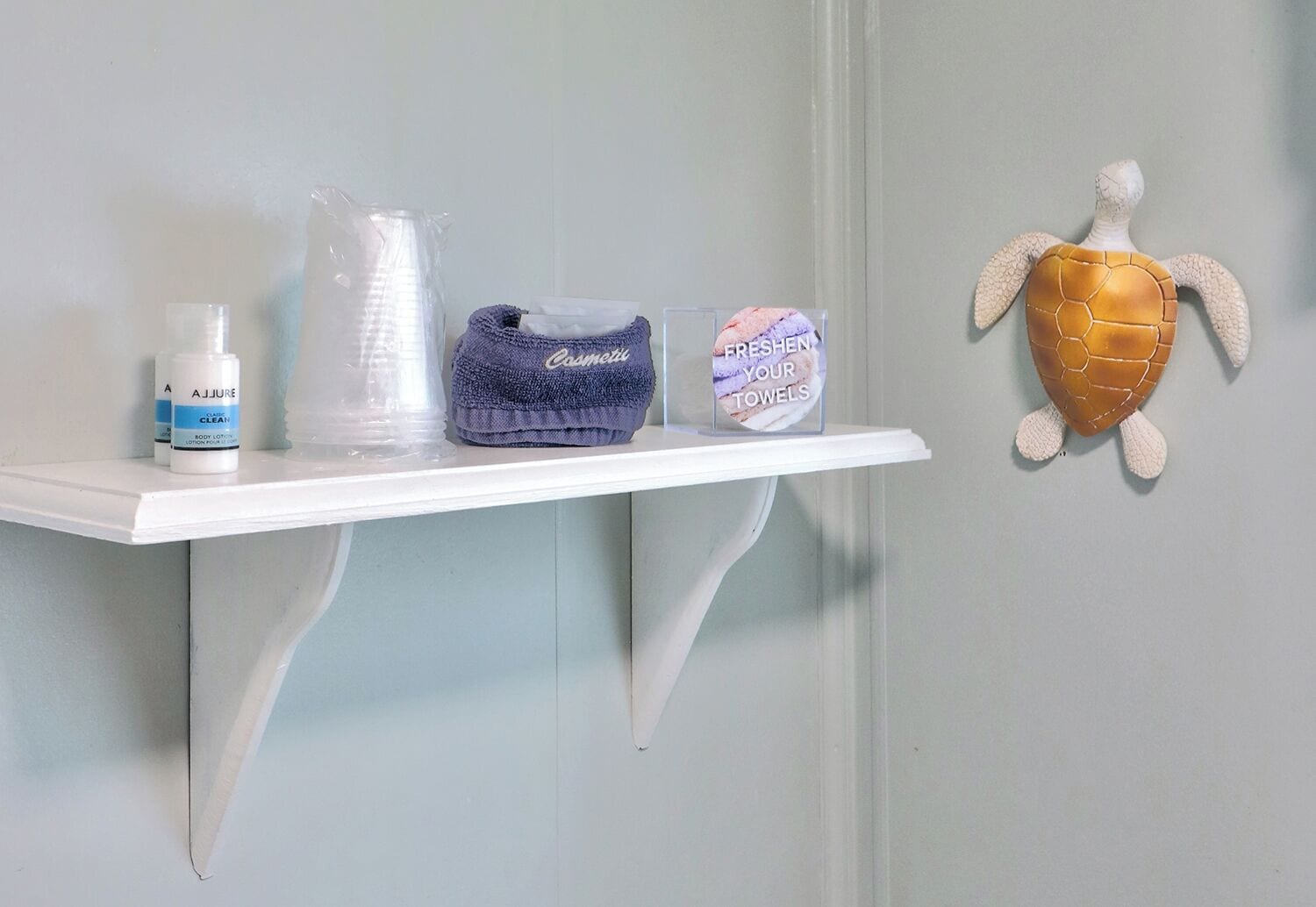A bathroom shelf with toiletry items and a decorative turtle.