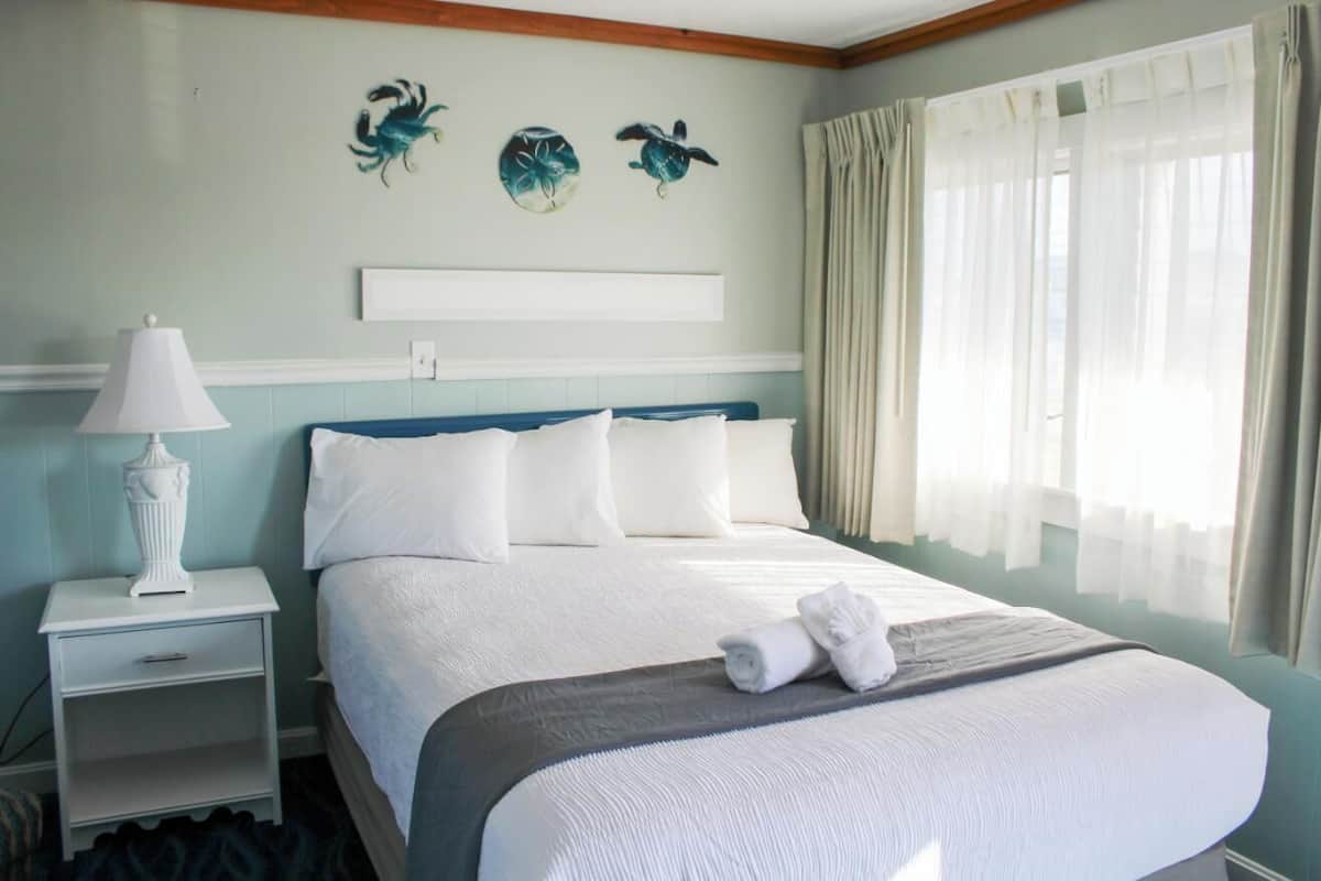 Wifi gratis y ropa de cama