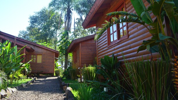 A wooden cabin with a gravel path leading to it, surrounded by lush tropical plants.