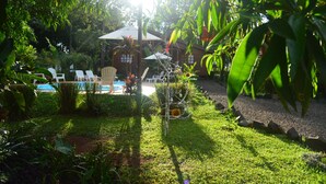 A garden with a pool, lounge chairs, and a wooden house.