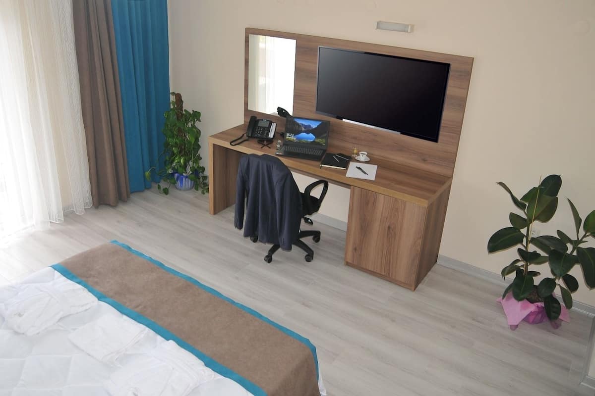 Minibar, una cassaforte in camera, una scrivania, ferro/asse da stiro