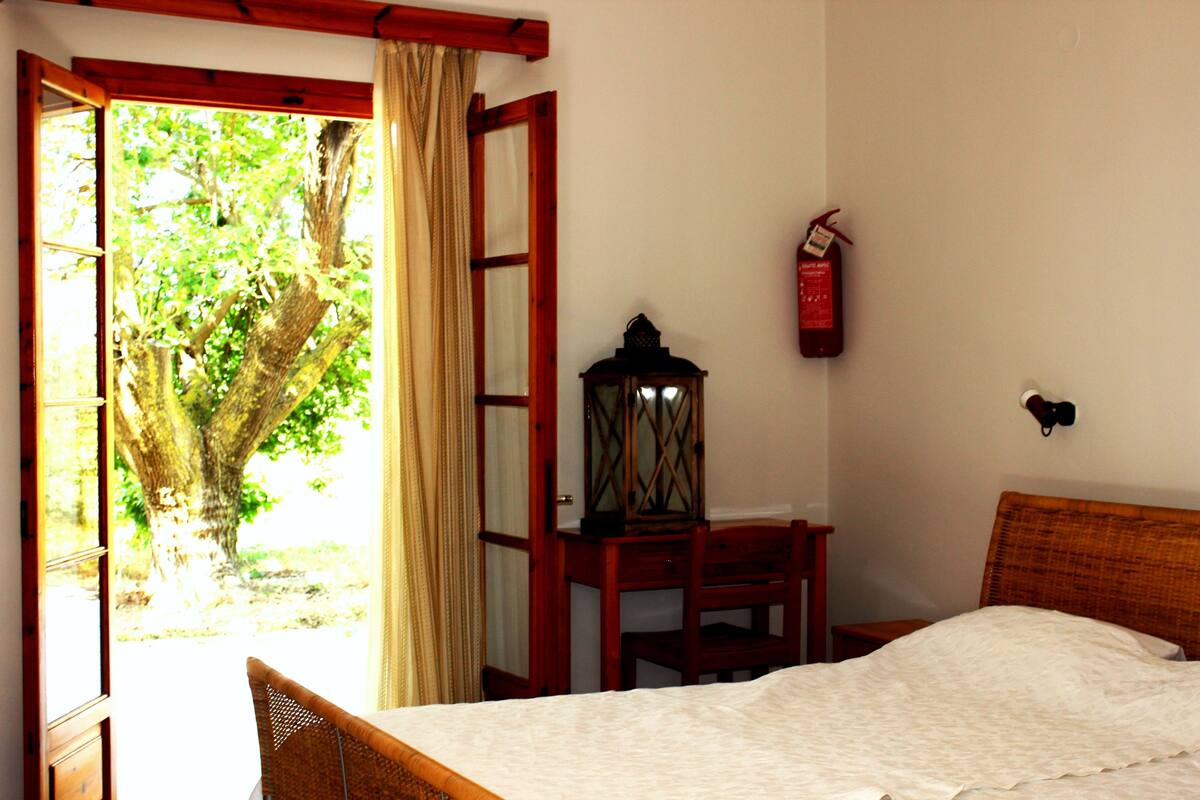 Basic Studio, 1 Queen Bed, Non Smoking | Free WiFi, bed sheets