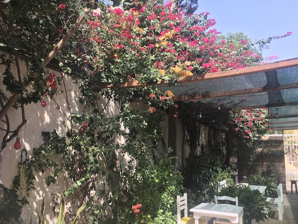 Un jardín con un pérgola cubierta de enredaderas florecientes y una mesa con sillas debajo.