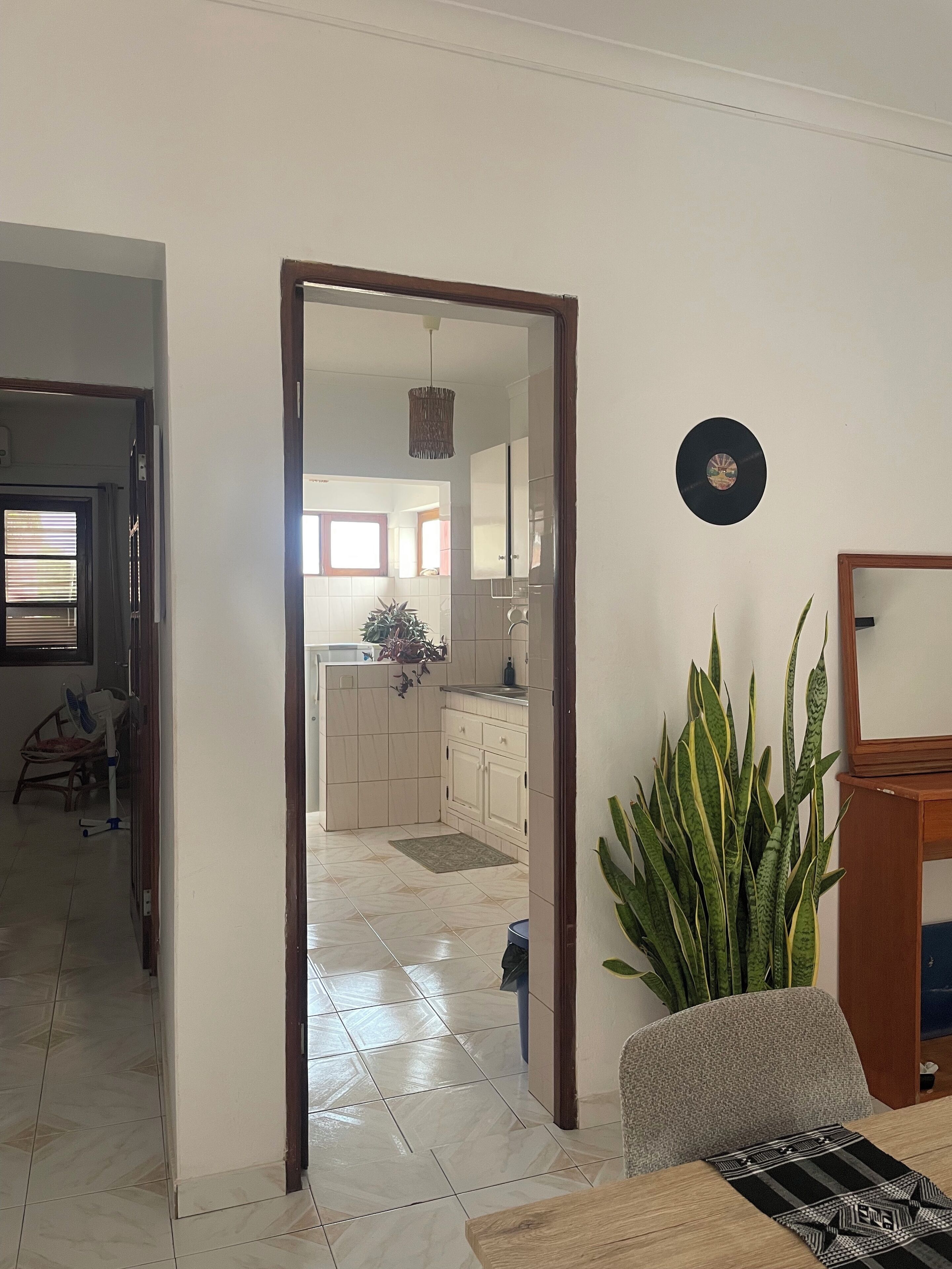 A modern living room with a wooden coffee table, a large potted plant, and a mirror on the wall.