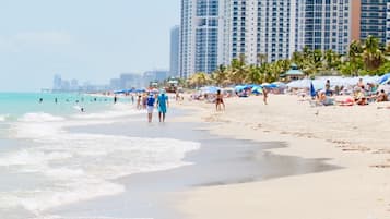 Plage à proximité, chaises longues, parasols, serviettes de plage