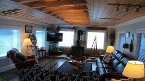 Smart TV, fireplace, books