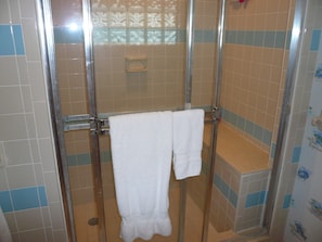 Shower, hair dryer, towels, soap