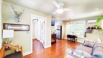 Smart TV, fireplace, Netflix, books