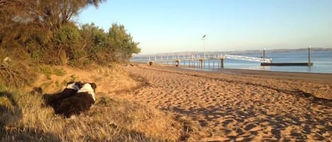 Na praia, espreguiçadeiras 