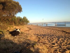 On the beach, sun-loungers