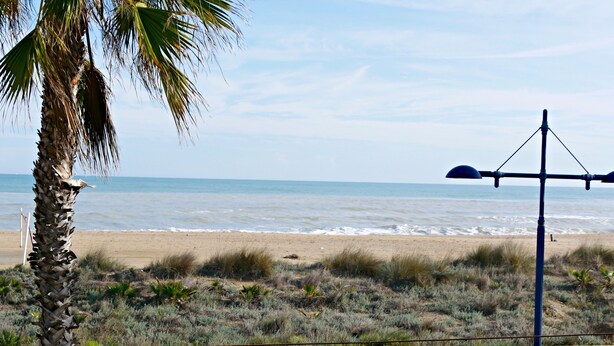 A beach view with a palm tree, a lamp post, and a clear sky. - Large apartment. Front line beach, private parking, bicycles (Peñiscola)