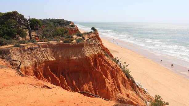 Un paisaje costero con una playa arenosa, acantilados y vegetación escasa.