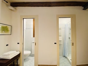 Shower, hair dryer, bidet, towels