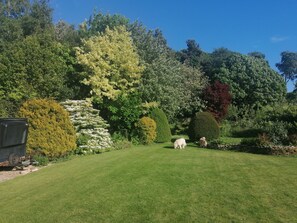 Área da propriedade