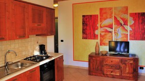 Une cuisine avec des meubles de rangement en bois, une cuisinière à gaz, un évier et un téléviseur posé sur un meuble en bois.