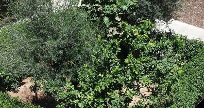 Nice three rooms nine modern and well equipped