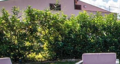 Villa Luana with direct access to the sea