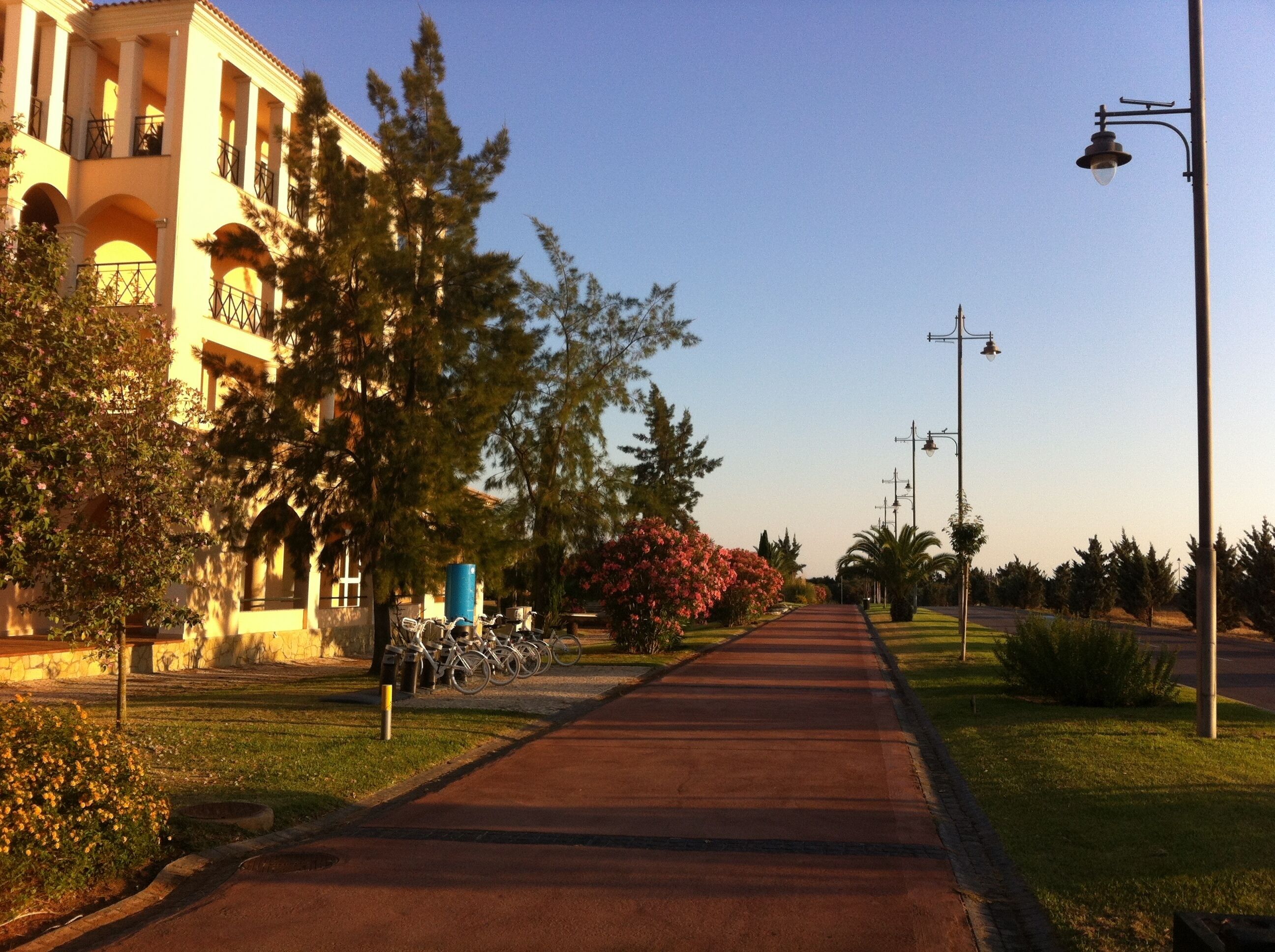 Un chemin bordé d’arbres et un bâtiment doté de balcons.