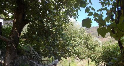 SUPER ANGEBOT !! Cinque Terre, wunderschönes Landhaus zwischen Meer und Natur