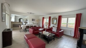 Télévision, cheminée, lecteur de DVD, table de tennis de table