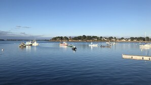 En rolig havn med flere både i havnen.