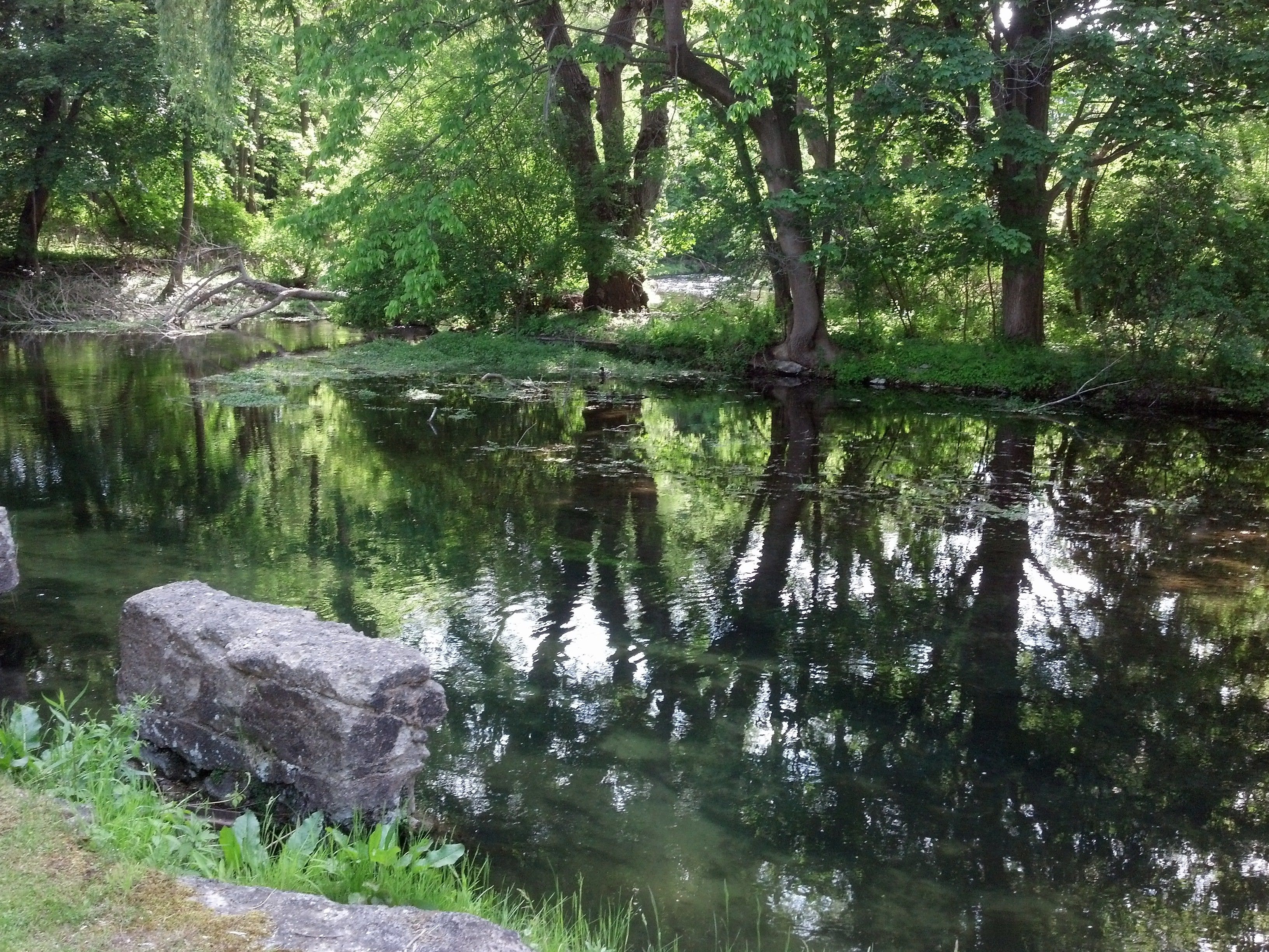 Ein ruhiger Fluss mit Bäumen, deren Spiegelung sich im Wasser zeigt, umgeben von viel Grün.