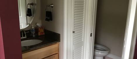 A bathroom with a wooden vanity, a white toilet, and a mirror.