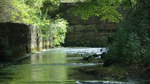 A narrow, rocky stream surrounded by dense foliage and a stone wall. - Genesee Country Inn B&B (Mumford)