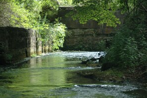 A narrow, rocky stream surrounded by dense foliage and a stone wall. - Genesee Country Inn B&B (Mumford)