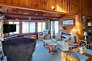 TV, DVD player, books, video library