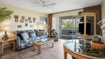 Televisión, reproductor de DVD, libros y videoteca