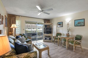 TV, DVD player, books, video library