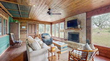 Télévision, cheminée, lecteur de DVD