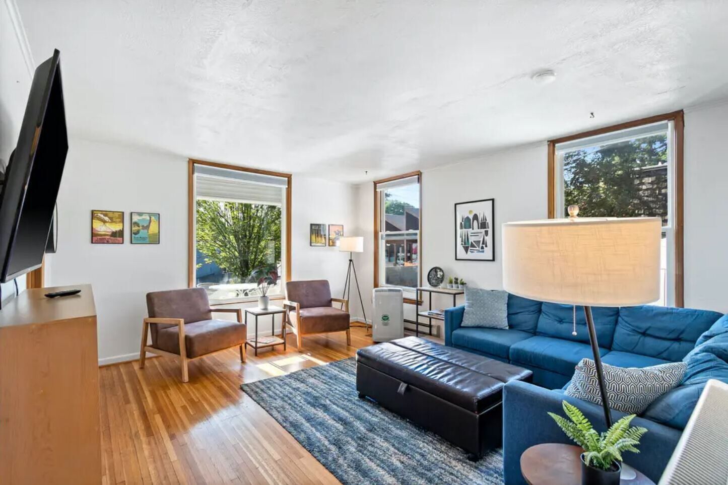 Smart TV, DVD player, books, video library