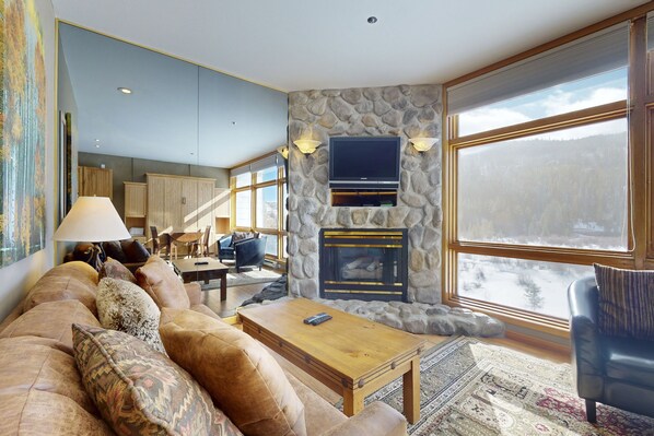 تلفزيون، مدفأة، مشغل دي في دي، كُتُب