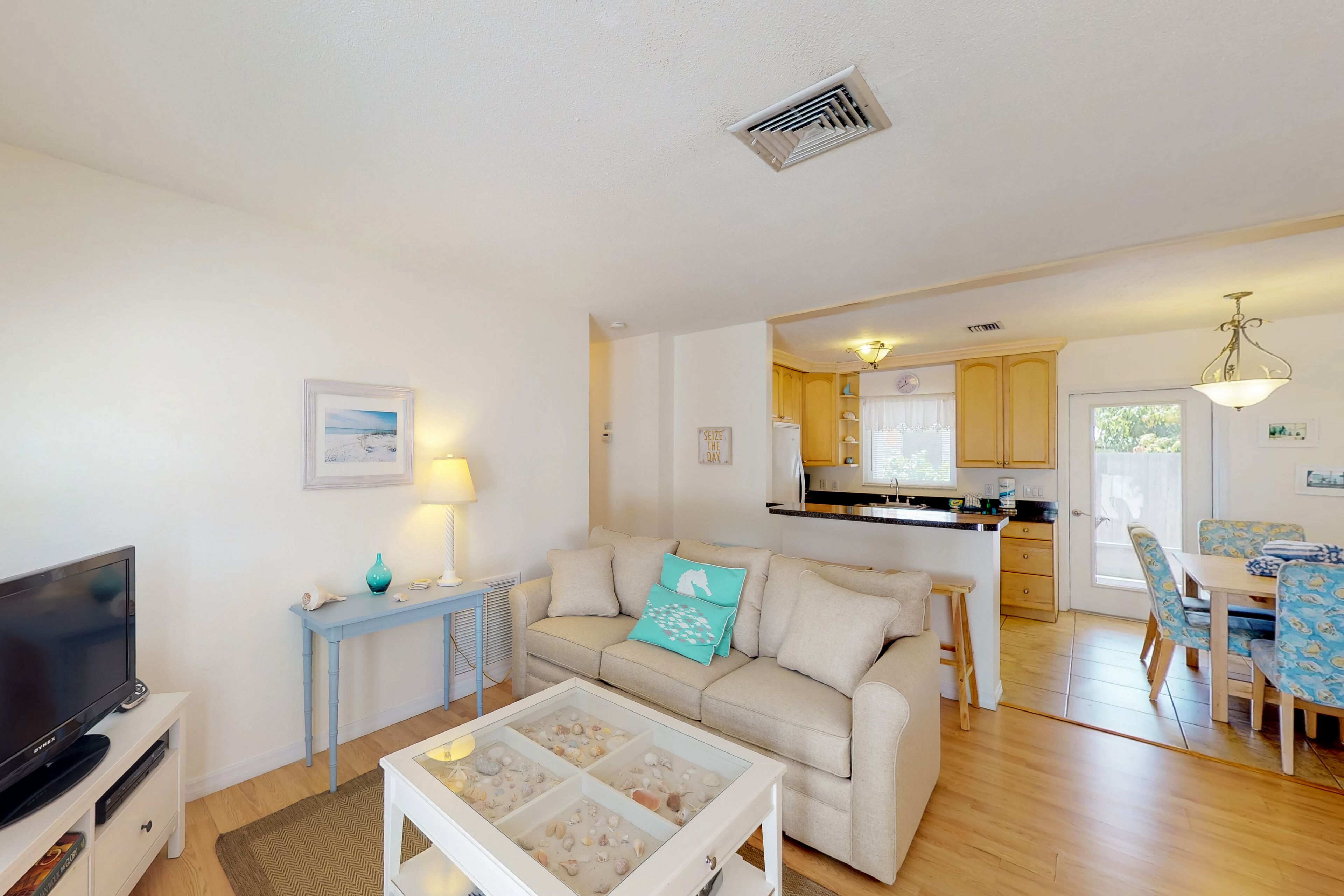 电视、DVD 播放器