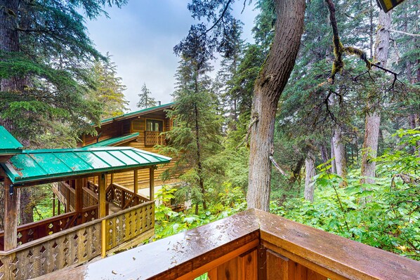 Property grounds - Beautiful condo with custom touches & mountain views (Girdwood)