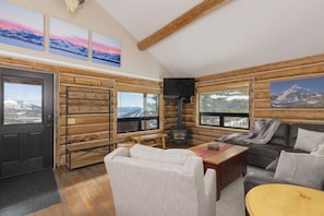 Smart TV, fireplace, books