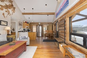 Smart TV, fireplace, books