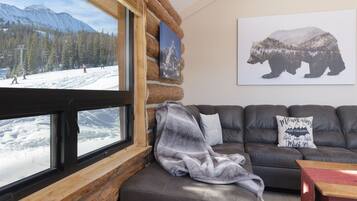 Téléviseur connecté, foyer, livres