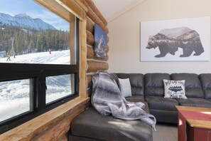 Smart TV, chimenea y libros 