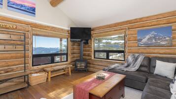 Smart TV, fireplace, books