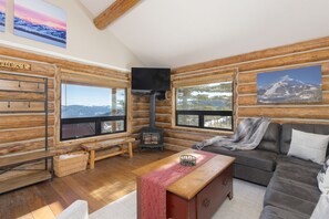 Smart TV, chimenea y libros 