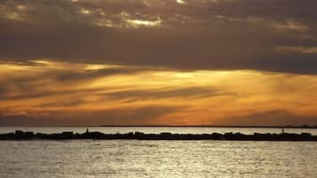 Ubicación a pie de playa, tumbonas y toallas de playa