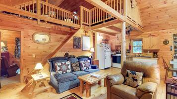 TV, DVD player, books, video library