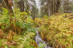 Property grounds - Cabin w/ private hot tub, gourmet kitchen, handcrafted wood details, near skiing (Girdwood)